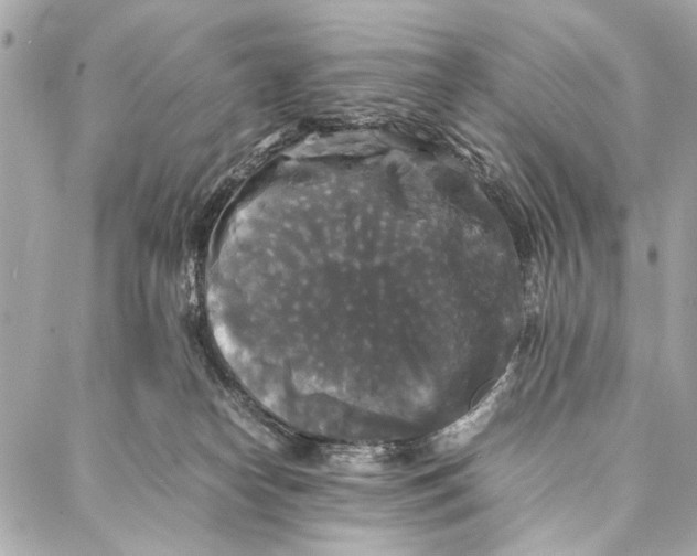 X0000086920182200705071337