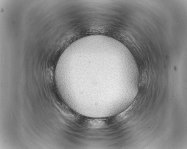 X0000086920183200705071337