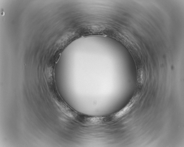 X0000086920184200705071337