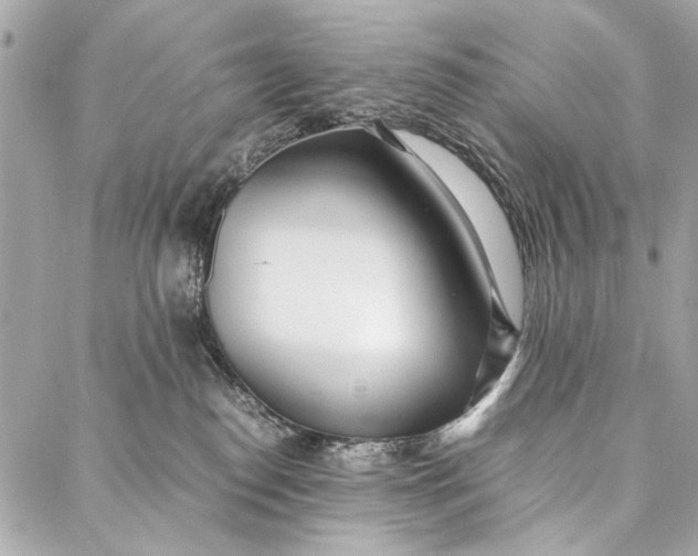 X0000086920186200705071337