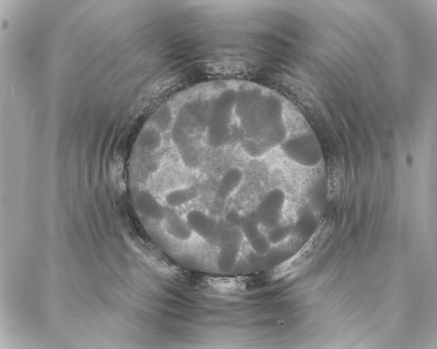 X0000086920187200705071337