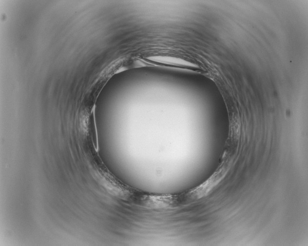 X0000086920188200705071337