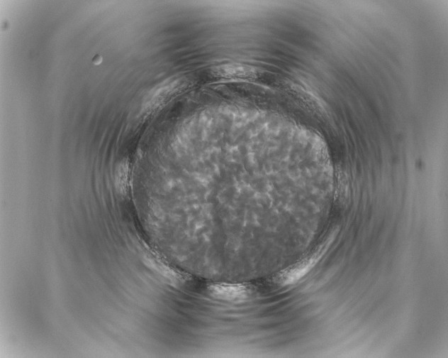 X0000086920189200705071337