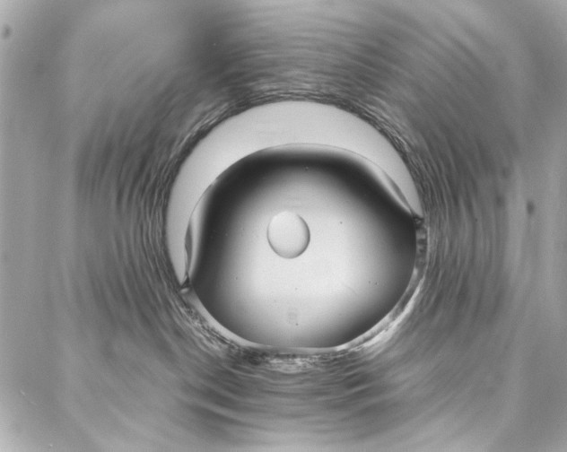 X0000086920190200705071337