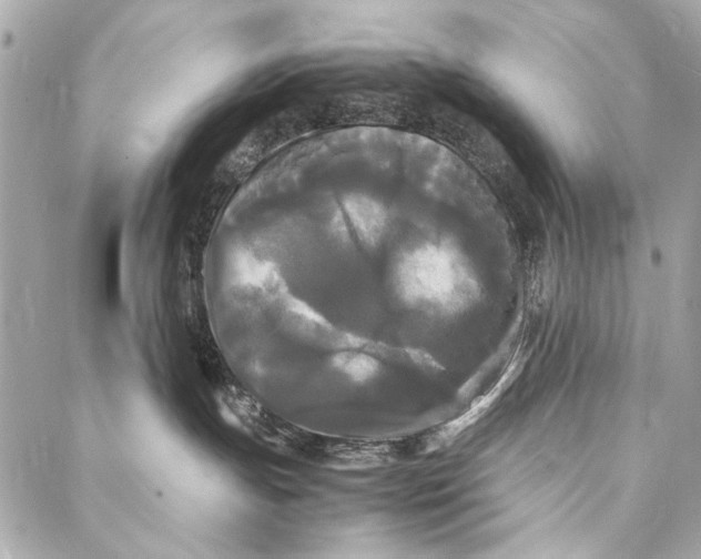 X0000086920191200705071337