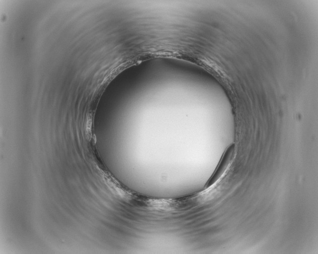 X0000086920192200705071337