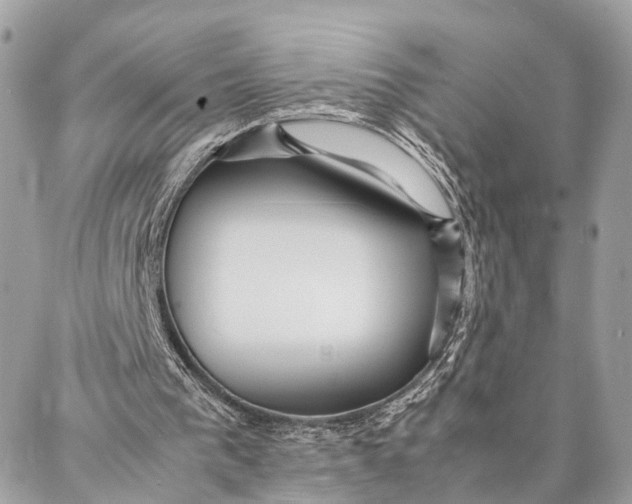 X0000086920193200705071336