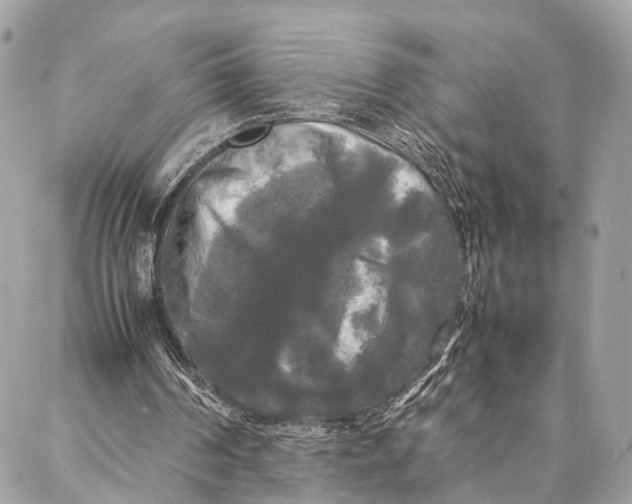 X0000086920194200705071336