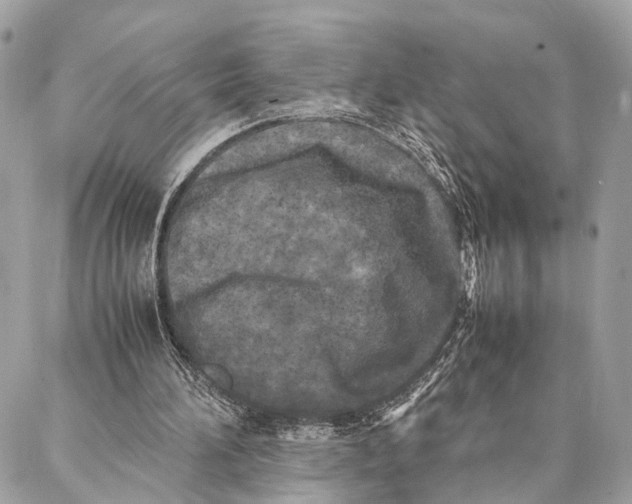 X0000086920196200705071336