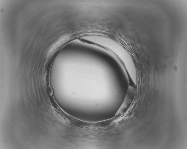 X0000086920197200705071336