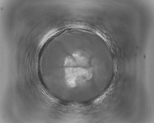 X0000086920199200705071336