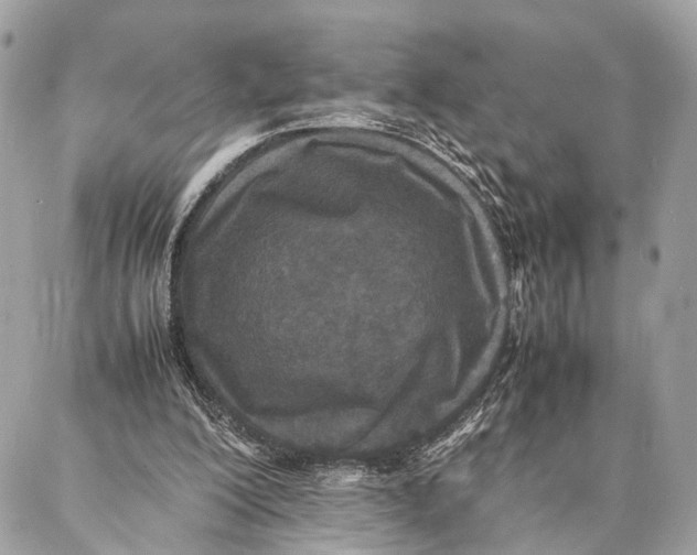 X0000086920200200705071336