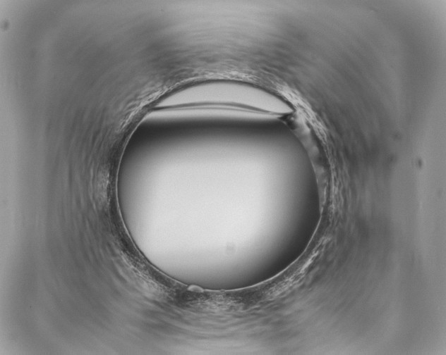 X0000086920201200705071336