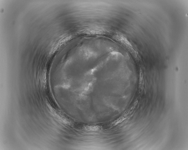 X0000086920202200705071336