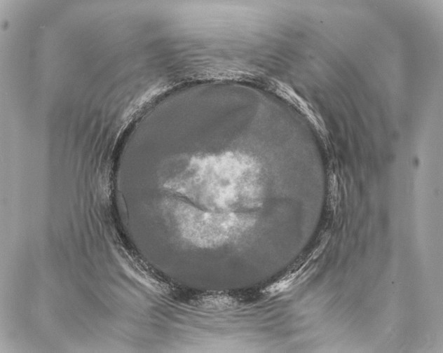 X0000086920203200705071336