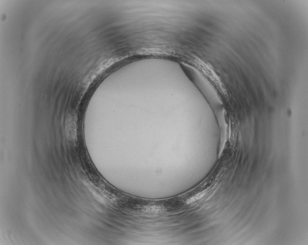 X0000086920204200705071336