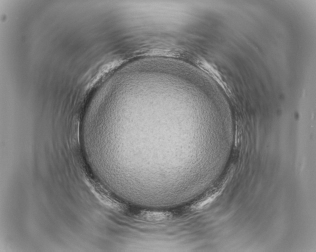 X0000086920205200705071336