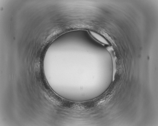 X0000086920207200705071336