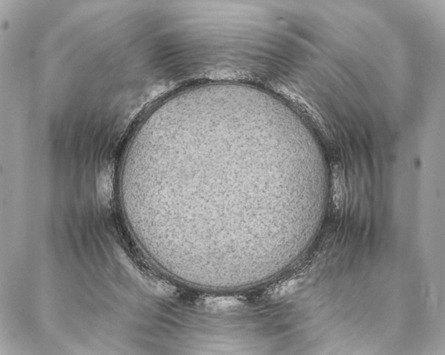 X0000086920208200705071336