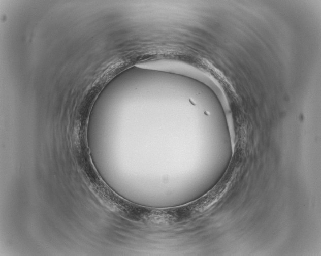 X0000086920209200705071336