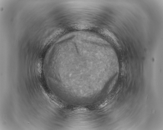 X0000086920210200705071336