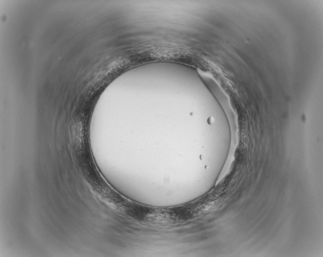 X0000086920211200705071336