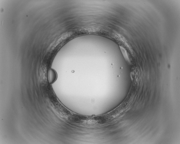 X0000086920212200705071336