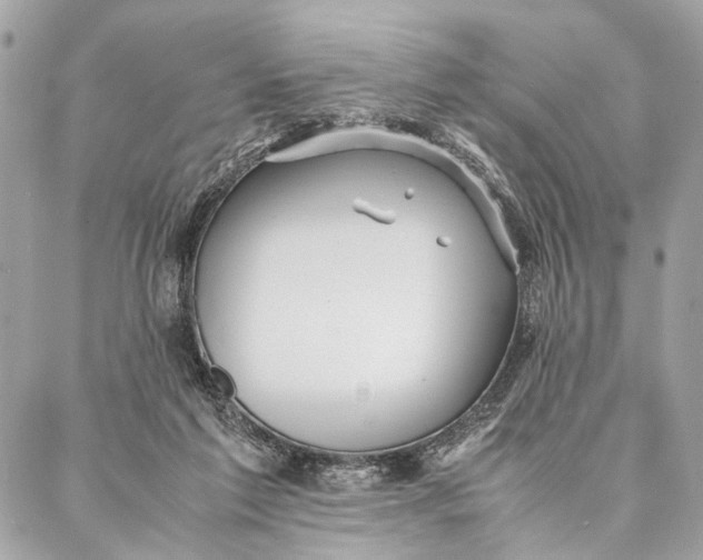 X0000086920213200705071336