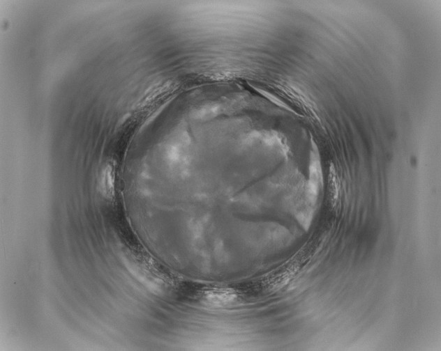 X0000086920214200705071336