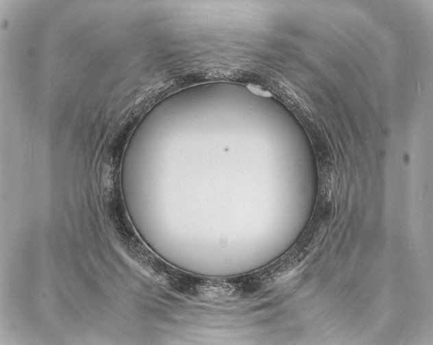 X0000086920215200705071336