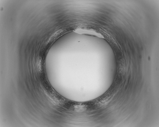 X0000086920216200705071336