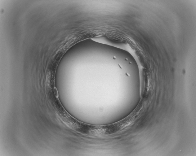 X0000086920217200705071336