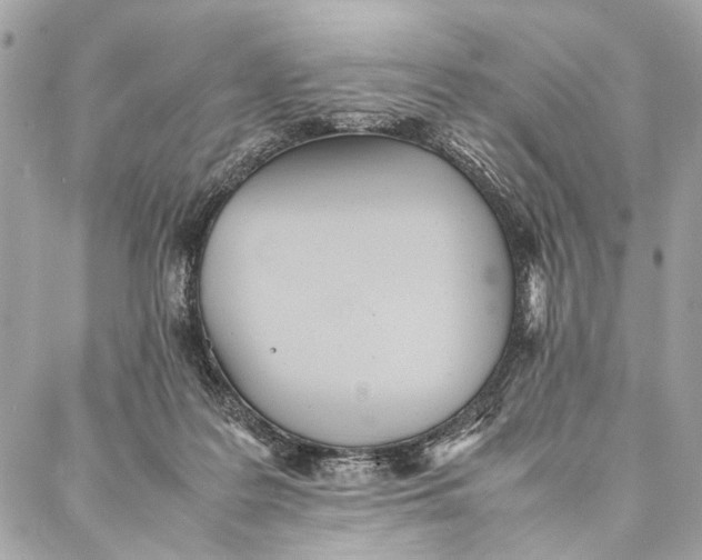 X0000086920219200705071336