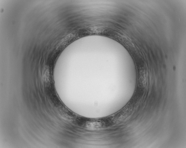 X0000086920220200705071336