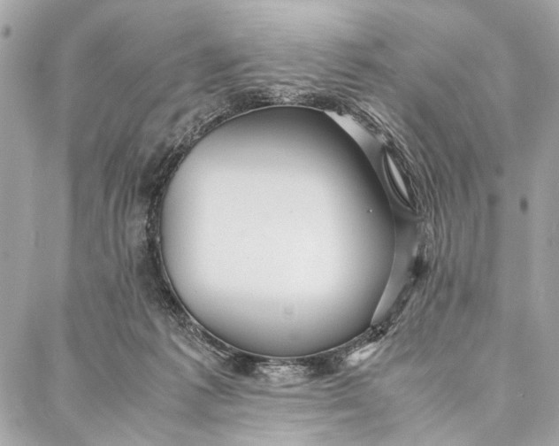 X0000086920221200705071336