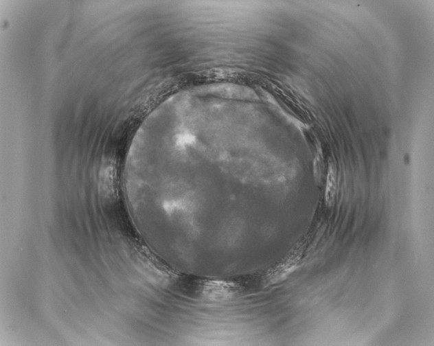 X0000086920222200705071336