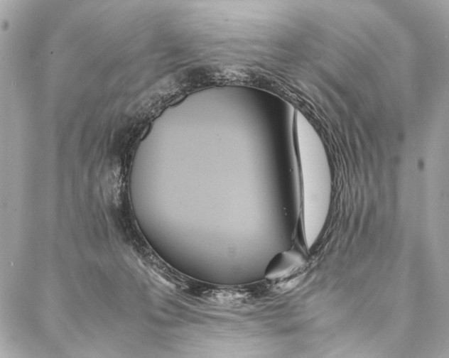 X0000086920223200705071336