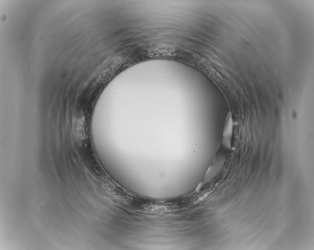 X0000086920224200705071336