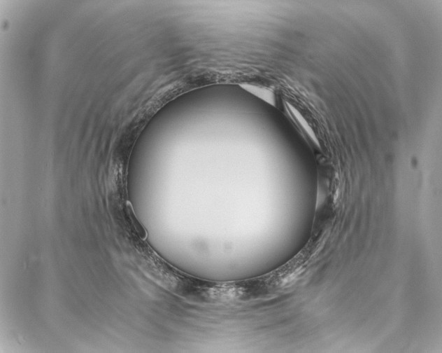 X0000086920225200705071336