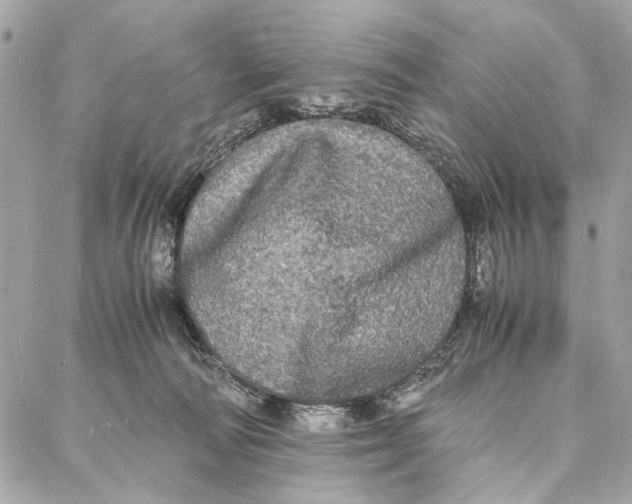 X0000086920226200705071336