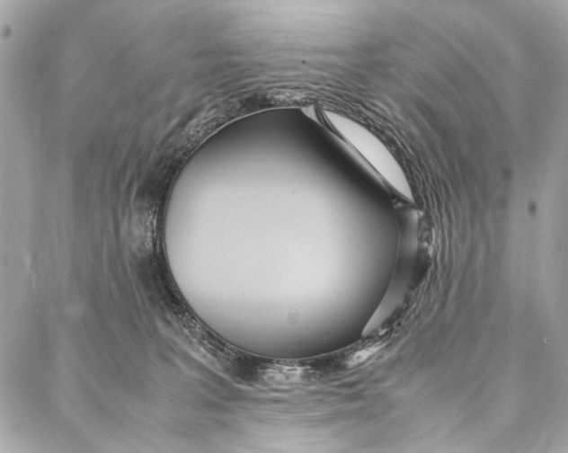 X0000086920227200705071336