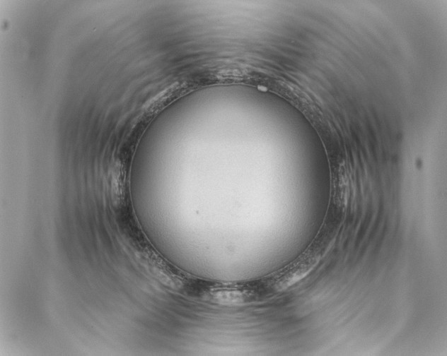 X0000086920228200705071336