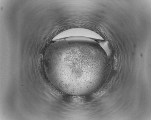 X0000086920229200705071336