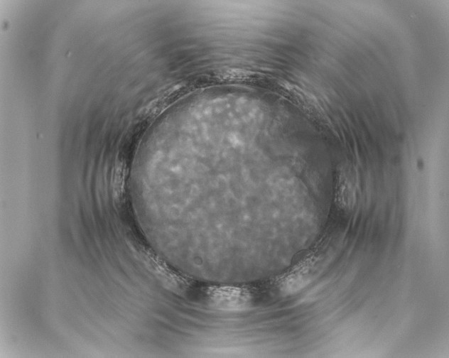 X0000086920230200705071336