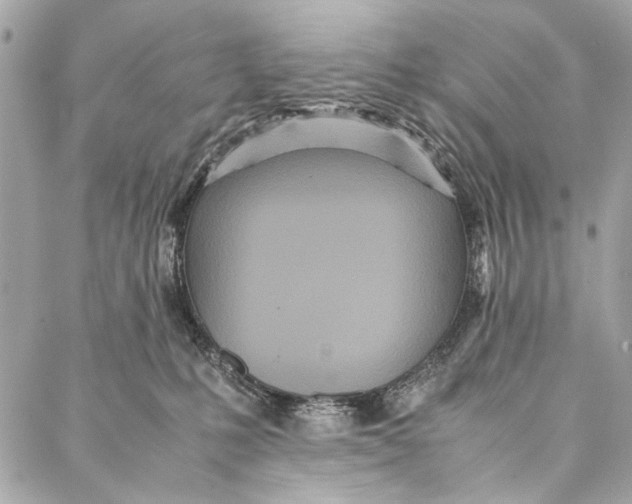 X0000086920231200705071336