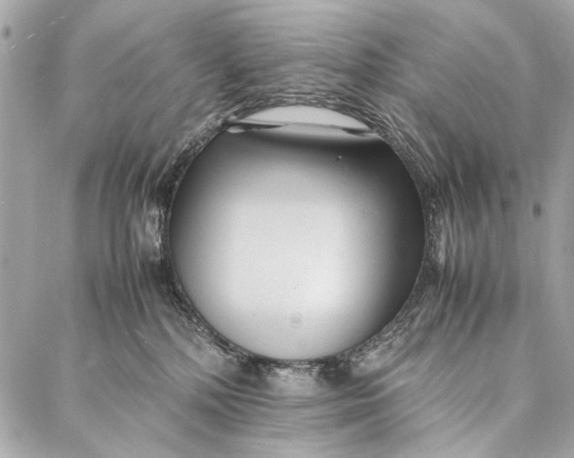 X0000086920232200705071336