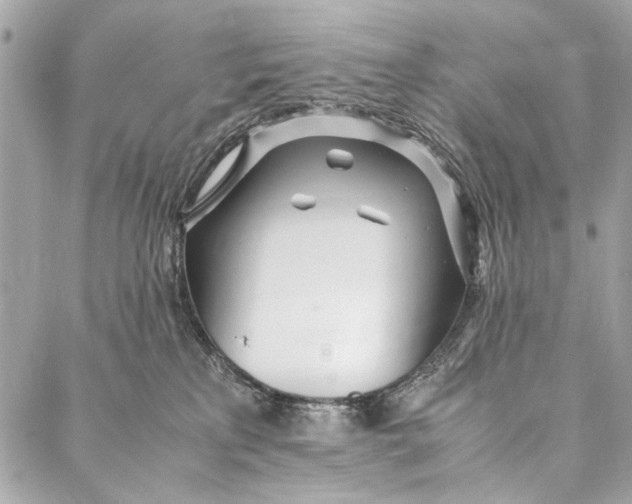 X0000086920233200705071336