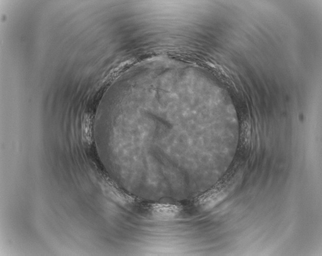 X0000086920234200705071336