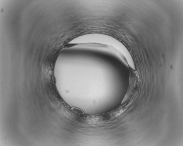 X0000086920235200705071336