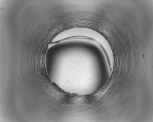 X0000086920237200705071336